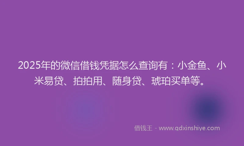 2025年的微信借钱凭据怎么查询有：小金鱼、小米易贷、拍拍用、随身贷、琥珀买单等。