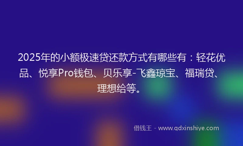 2025年的小额极速贷还款方式有哪些有：轻花优品、悦享Pro钱包、贝乐享-飞鑫琼宝、福瑞贷、理想给等。