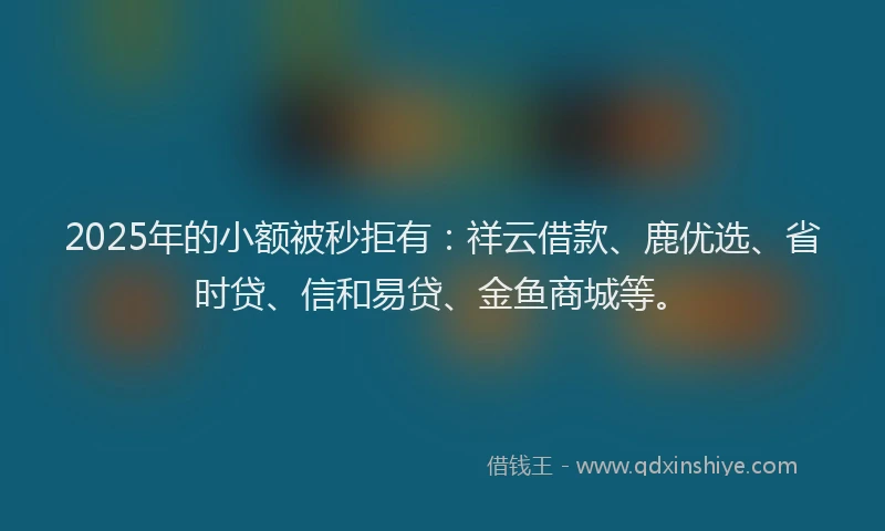 2025年的小额被秒拒有：祥云借款、鹿优选、省时贷、信和易贷、金鱼商城等。