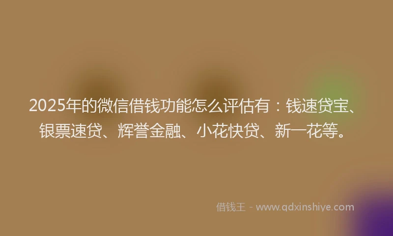 2025年的微信借钱功能怎么评估有：钱速贷宝、银票速贷、辉誉金融、小花快贷、新一花等。