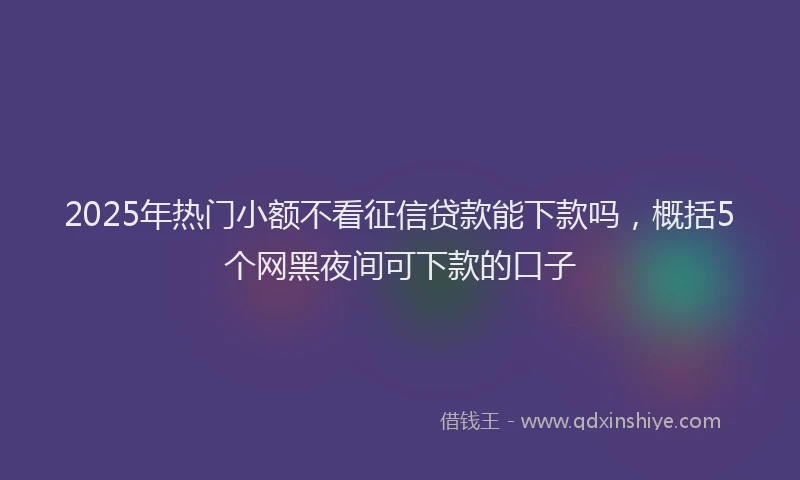 2025年热门小额不看征信贷款能下款吗，概括5个网黑夜间可下款的口子