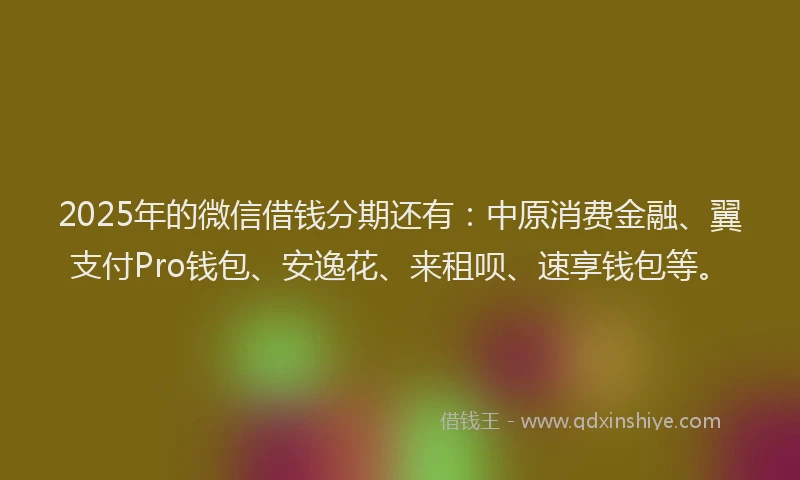 2025年的微信借钱分期还有：中原消费金融、翼支付Pro钱包、安逸花、来租呗、速享钱包等。