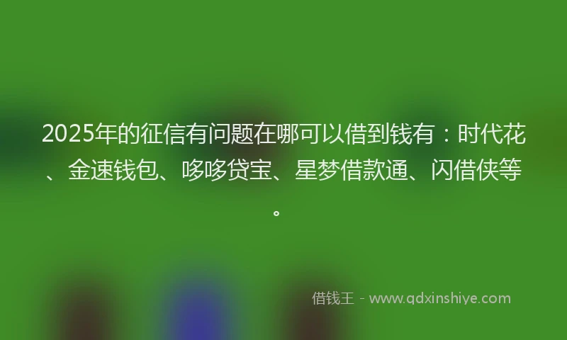 2025年的征信有问题在哪可以借到钱有：时代花、金速钱包、哆哆贷宝、星梦借款通、闪借侠等。