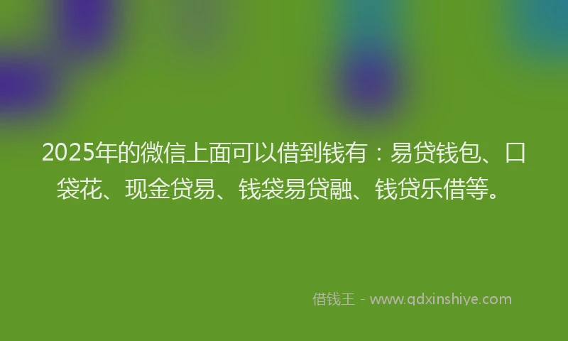 2025年的微信上面可以借到钱有：易贷钱包、口袋花、现金贷易、钱袋易贷融、钱贷乐借等。