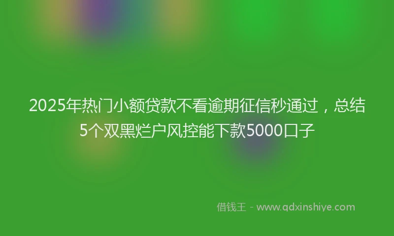 2025年热门小额贷款不看逾期征信秒通过，总结5个双黑烂户风控能下款5000口子