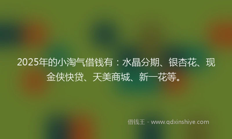 2025年的小淘气借钱有：水晶分期、银杏花、现金侠快贷、天美商城、新一花等。