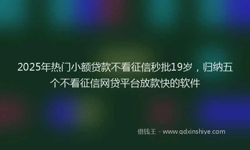 2025年热门小额贷款不看征信秒批19岁，归纳五个不看征信网贷平台放款快的软件