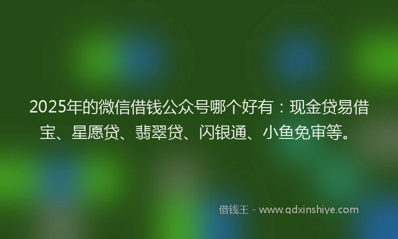 2025年的微信借钱公众号哪个好有：现金贷易借宝、星愿贷、翡翠贷、闪银通、小鱼免审等。