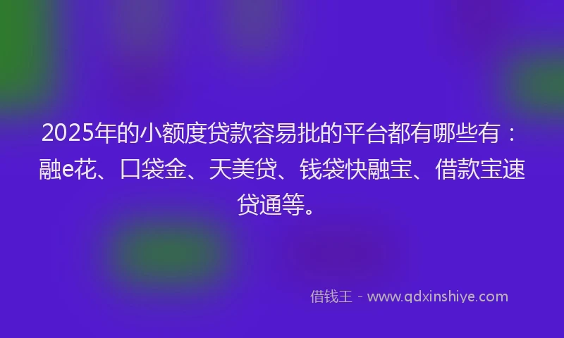 2025年的小额度贷款容易批的平台都有哪些有：融e花、口袋金、天美贷、钱袋快融宝、借款宝速贷通等。