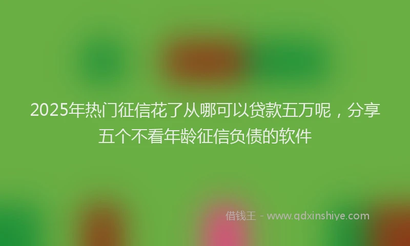2025年热门征信花了从哪可以贷款五万呢，分享五个不看年龄征信负债的软件