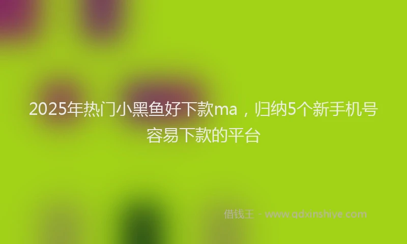 2025年热门小黑鱼好下款ma，归纳5个新手机号容易下款的平台