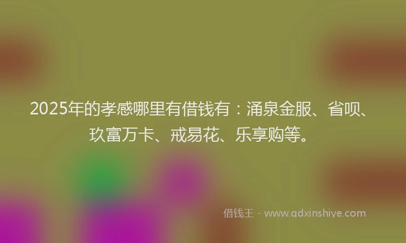 2025年的孝感哪里有借钱有：涌泉金服、省呗、玖富万卡、戒易花、乐享购等。