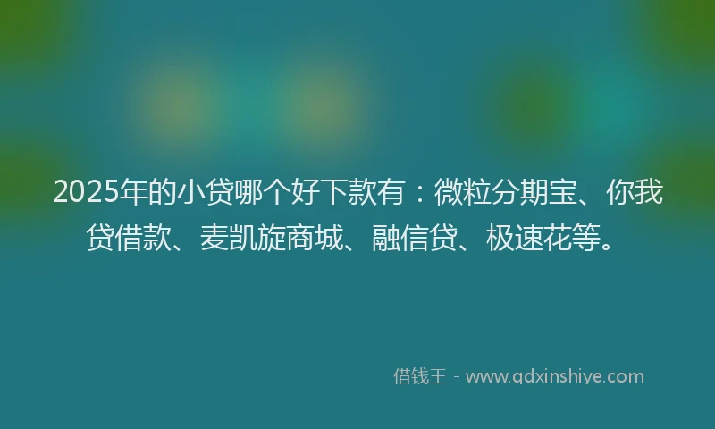 2025年的小贷哪个好下款有：微粒分期宝、你我贷借款、麦凯旋商城、融信贷、极速花等。