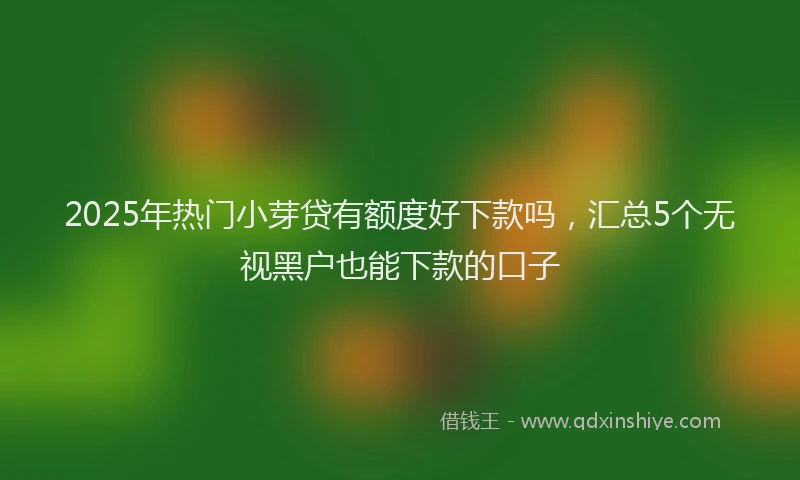 2025年热门小芽贷有额度好下款吗，汇总5个无视黑户也能下款的口子