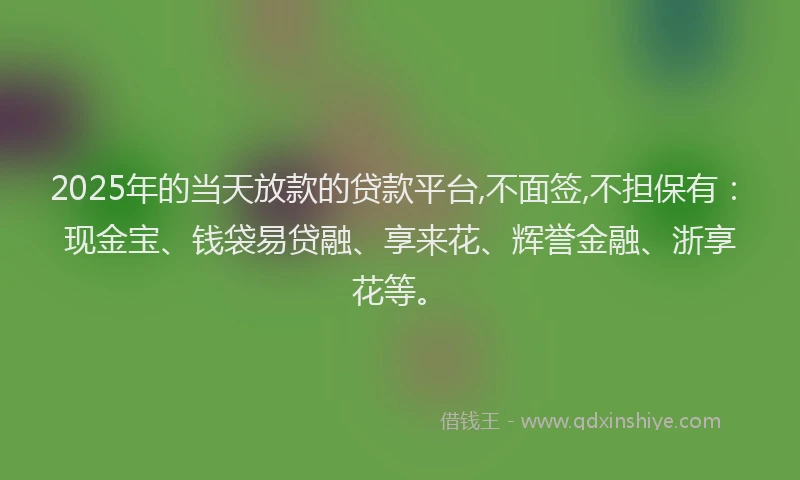2025年的当天放款的贷款平台,不面签,不担保有：现金宝、钱袋易贷融、享来花、辉誉金融、浙享花等。