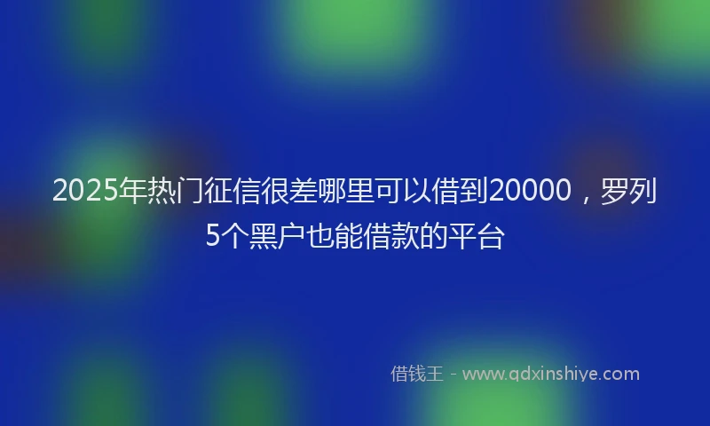 2025年热门征信很差哪里可以借到20000，罗列5个黑户也能借款的平台