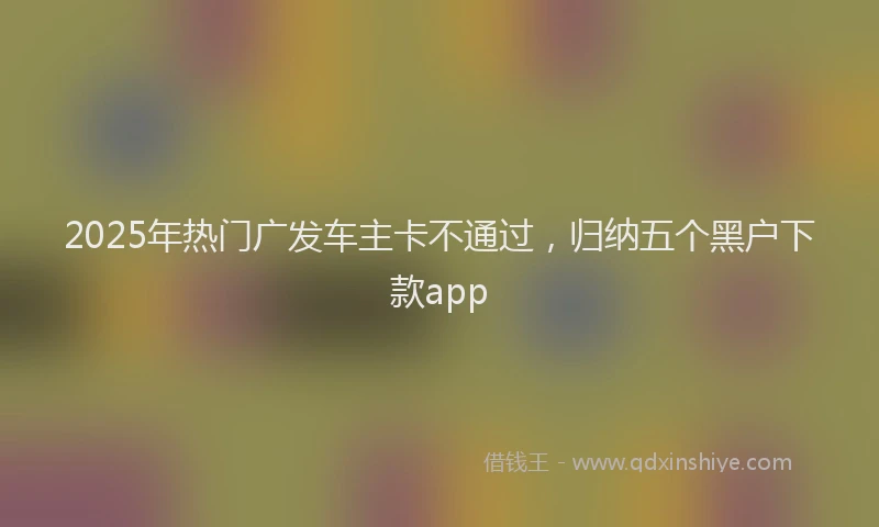 2025年热门广发车主卡不通过，归纳五个黑户下款app