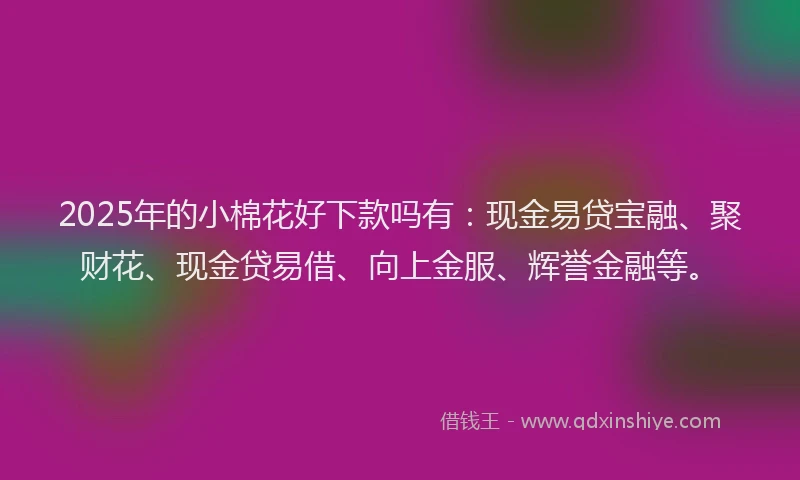 2025年的小棉花好下款吗有：现金易贷宝融、聚财花、现金贷易借、向上金服、辉誉金融等。