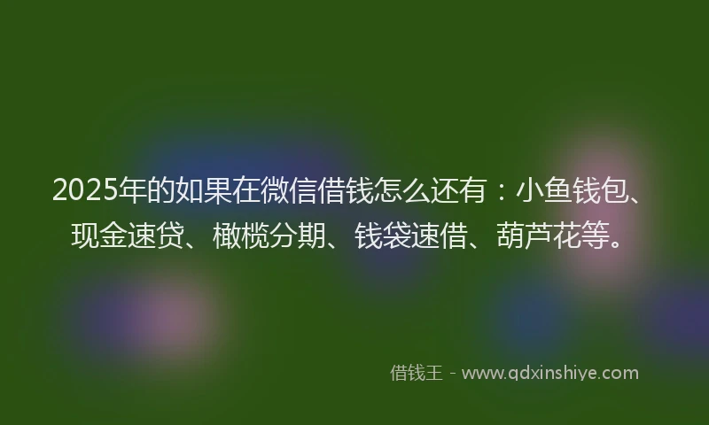 2025年的如果在微信借钱怎么还有：小鱼钱包、现金速贷、橄榄分期、钱袋速借、葫芦花等。
