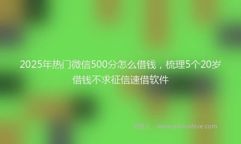 2025年热门微信500分怎么借钱，梳理5个20岁借钱不求征信速借软件