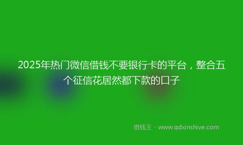 2025年热门微信借钱不要银行卡的平台，整合五个征信花居然都下款的口子