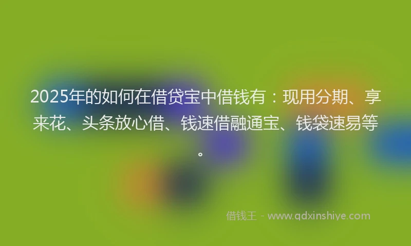 2025年的如何在借贷宝中借钱有：现用分期、享来花、头条放心借、钱速借融通宝、钱袋速易等。