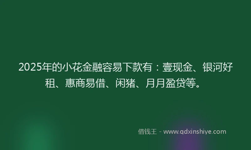 2025年的小花金融容易下款有：壹现金、银河好租、惠商易借、闲猪、月月盈贷等。