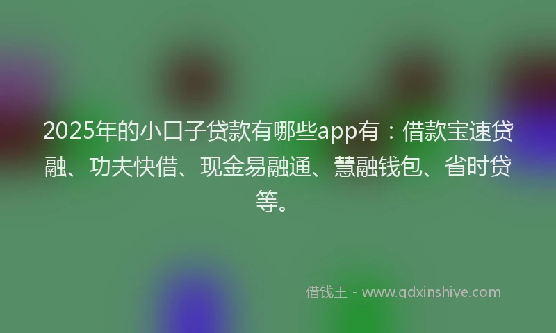 2025年的小口子贷款有哪些app有：借款宝速贷融、功夫快借、现金易融通、慧融钱包、省时贷等。