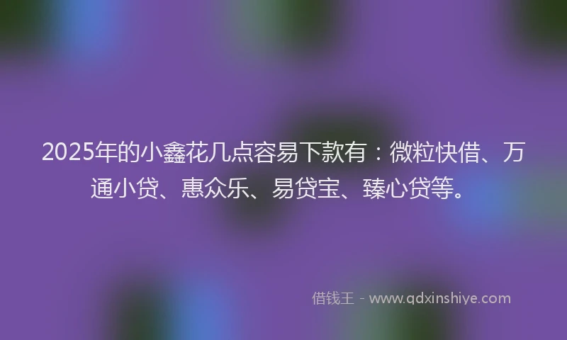 2025年的小鑫花几点容易下款有：微粒快借、万通小贷、惠众乐、易贷宝、臻心贷等。