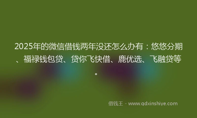 2025年的微信借钱两年没还怎么办有：悠悠分期、福禄钱包贷、贷你飞快借、鹿优选、飞融贷等。