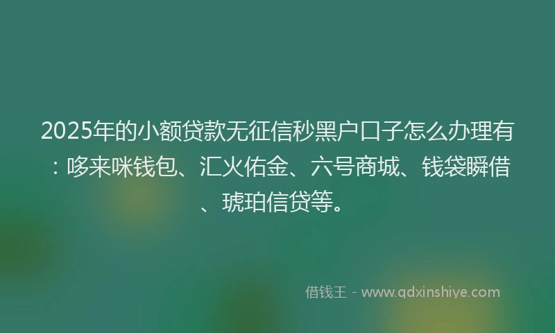 2025年的小额贷款无征信秒黑户口子怎么办理有：哆来咪钱包、汇火佑金、六号商城、钱袋瞬借、琥珀信贷等。