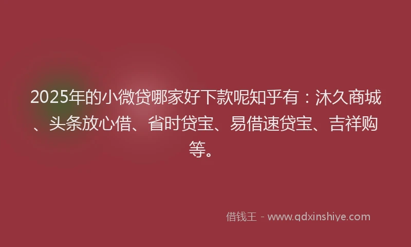 2025年的小微贷哪家好下款呢知乎有：沐久商城、头条放心借、省时贷宝、易借速贷宝、吉祥购等。