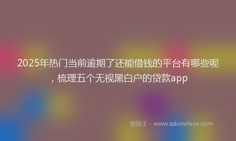 2025年热门当前逾期了还能借钱的平台有哪些呢，梳理五个无视黑白户的贷款app