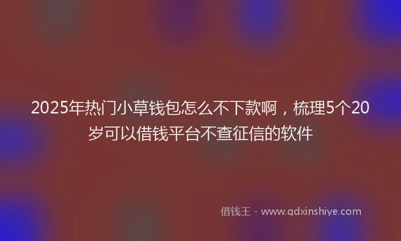2025年热门小草钱包怎么不下款啊，梳理5个20岁可以借钱平台不查征信的软件