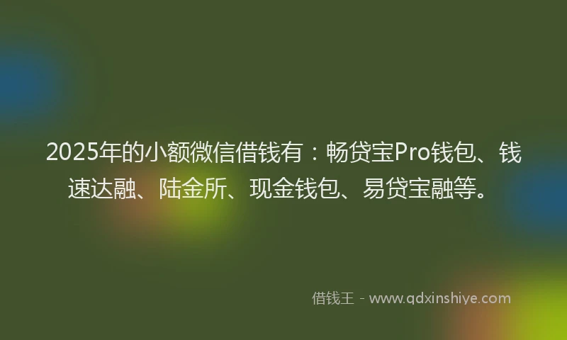 2025年的小额微信借钱有：畅贷宝Pro钱包、钱速达融、陆金所、现金钱包、易贷宝融等。