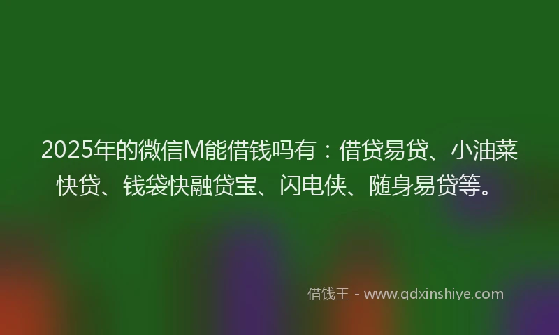 2025年的微信M能借钱吗有：借贷易贷、小油菜快贷、钱袋快融贷宝、闪电侠、随身易贷等。