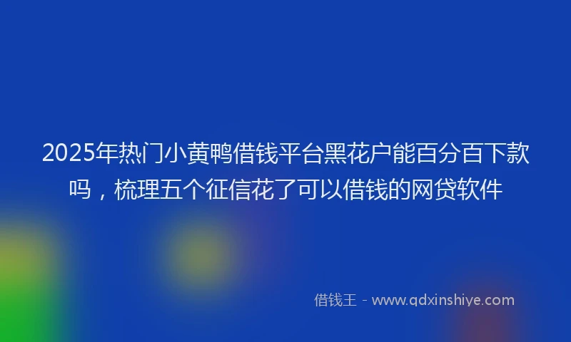 2025年热门小黄鸭借钱平台黑花户能百分百下款吗，梳理五个征信花了可以借钱的网贷软件