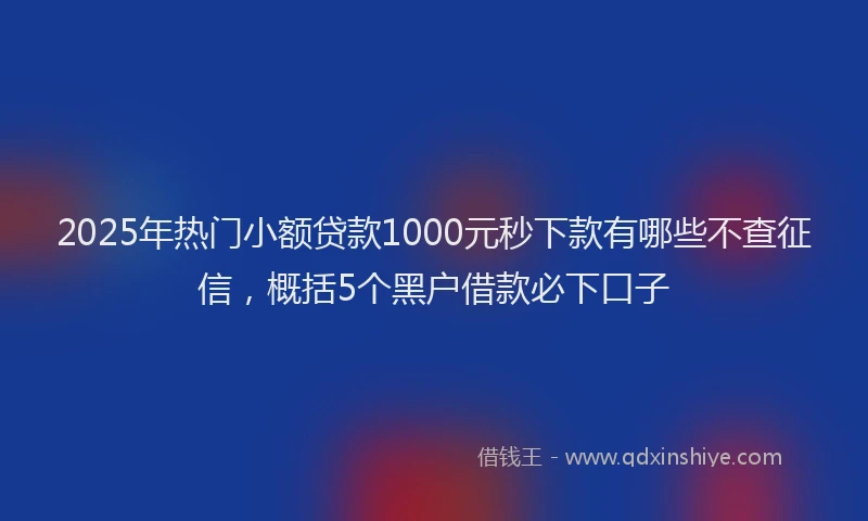 2025年热门小额贷款1000元秒下款有哪些不查征信，概括5个黑户借款必下口子