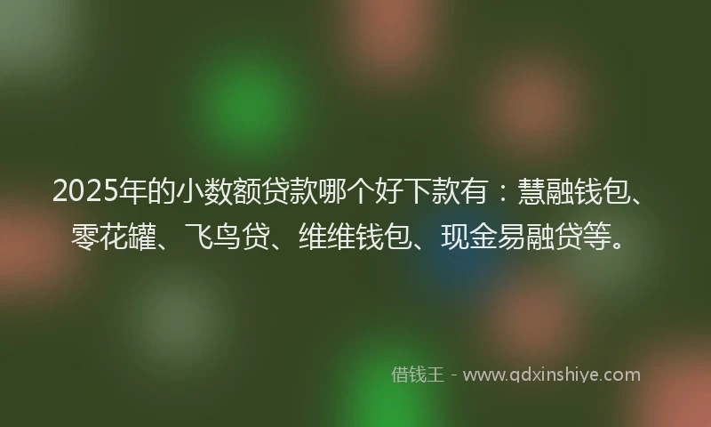 2025年的小数额贷款哪个好下款有：慧融钱包、零花罐、飞鸟贷、维维钱包、现金易融贷等。