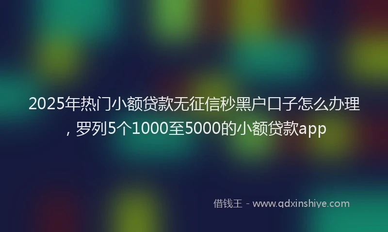 2025年热门小额贷款无征信秒黑户口子怎么办理，罗列5个1000至5000的小额贷款app