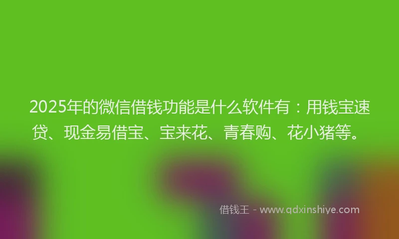 2025年的微信借钱功能是什么软件有：用钱宝速贷、现金易借宝、宝来花、青春购、花小猪等。