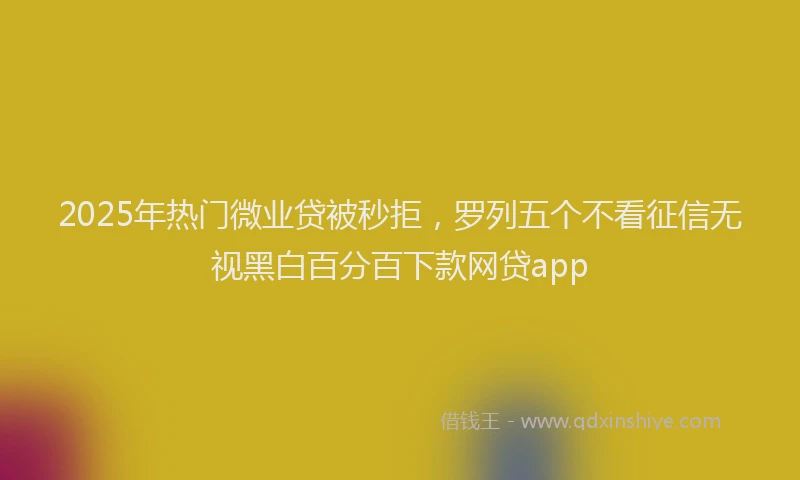 2025年热门微业贷被秒拒，罗列五个不看征信无视黑白百分百下款网贷app