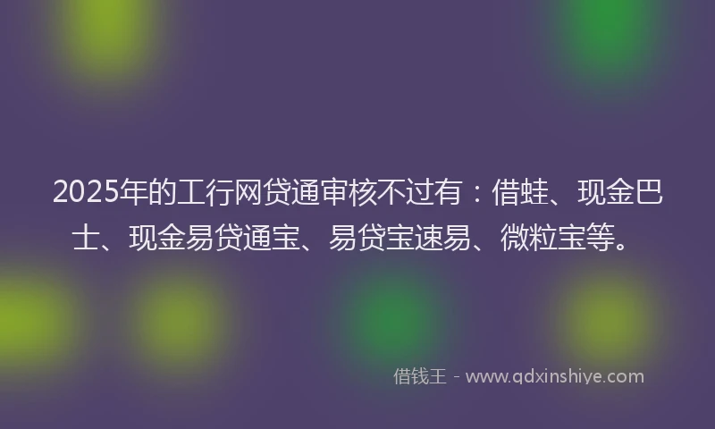 2025年的工行网贷通审核不过有：借蛙、现金巴士、现金易贷通宝、易贷宝速易、微粒宝等。