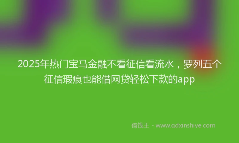 2025年热门宝马金融不看征信看流水，罗列五个征信瑕疵也能借网贷轻松下款的app