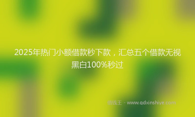 2025年热门小额借款秒下款，汇总五个借款无视黑白100%秒过