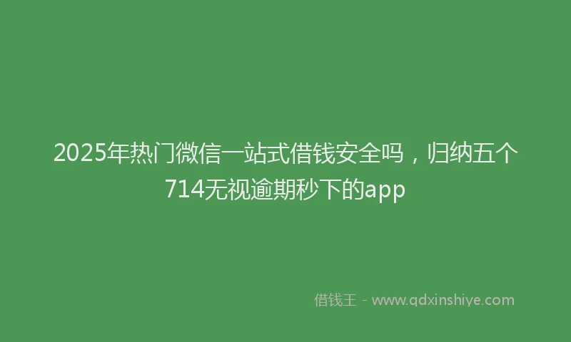 2025年热门微信一站式借钱安全吗，归纳五个714无视逾期秒下的app