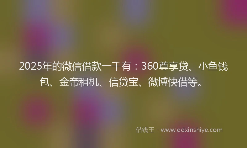 2025年的微信借款一千有：360尊享贷、小鱼钱包、金帝租机、信贷宝、微博快借等。