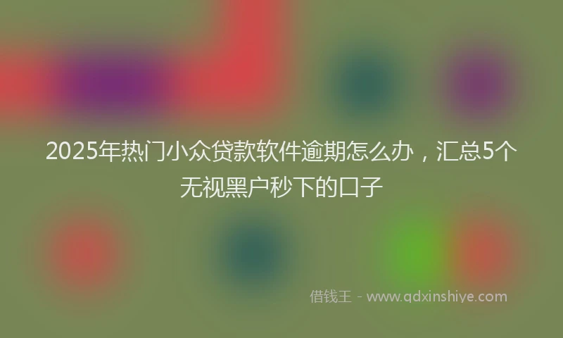 2025年热门小众贷款软件逾期怎么办，汇总5个无视黑户秒下的口子