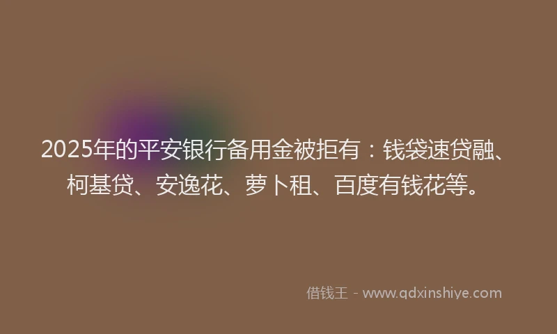 2025年的平安银行备用金被拒有：钱袋速贷融、柯基贷、安逸花、萝卜租、百度有钱花等。
