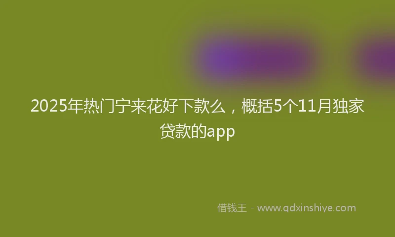 2025年热门宁来花好下款么，概括5个11月独家贷款的app